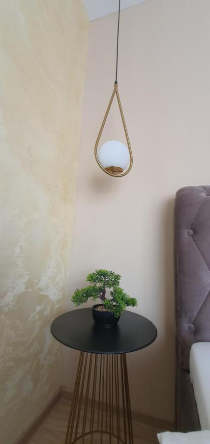 Apartment Alios Lux Braşov Buitenkant foto